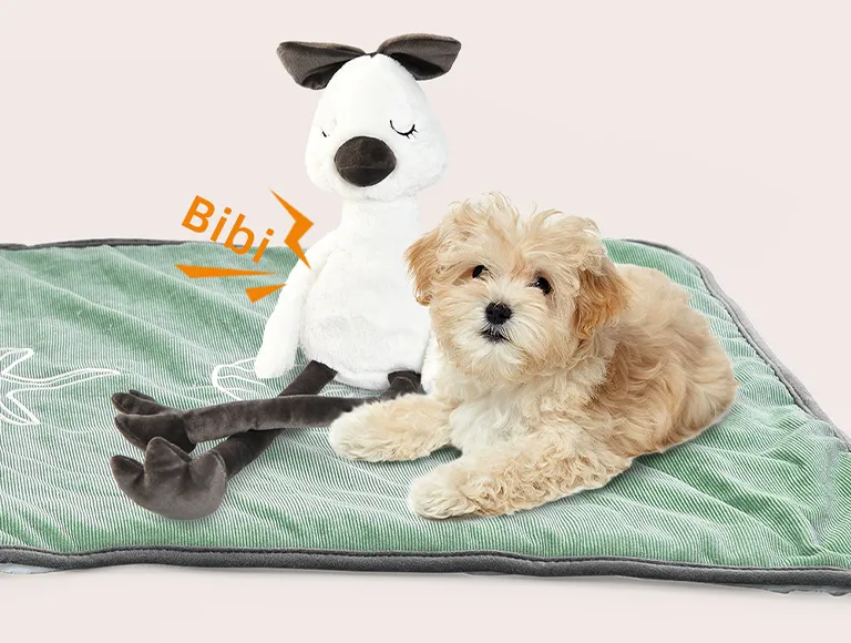 Toys and Comfort Blankets