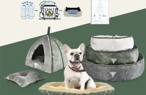 市場で最高の犬用ベッドは何ですか