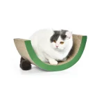 chat griffure carton animal de compagnie