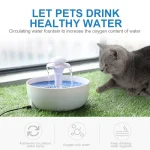 fonte eléctrica para gatos
