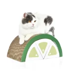 stock cat board pet