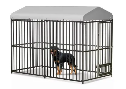 Cuccia per cani