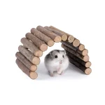 Mouse Rat Rodents Toy