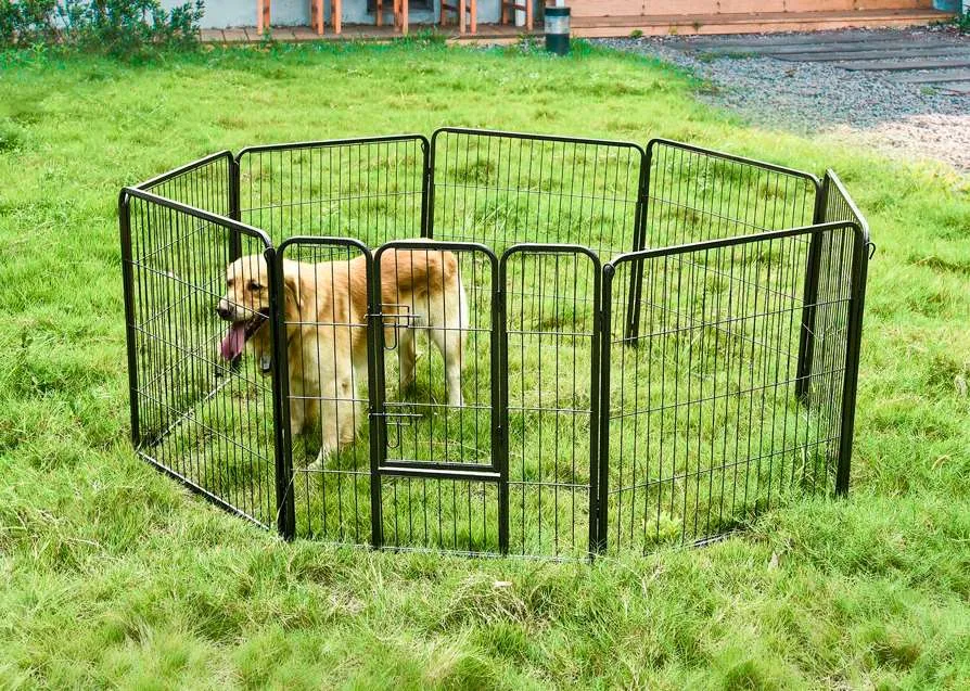 Gabbie per animali domestici in metallo per esterni
