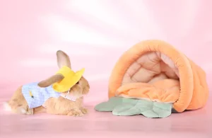 Bezugsquellen für Kaninchenzubehör