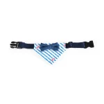 coelhinho de estimação com bandana