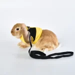 кролик одежда жилет животное