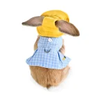 bunny dress pet