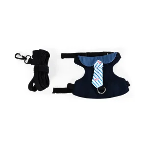 Konijnenharnas voor kleine dieren Konijnenharnas en riem