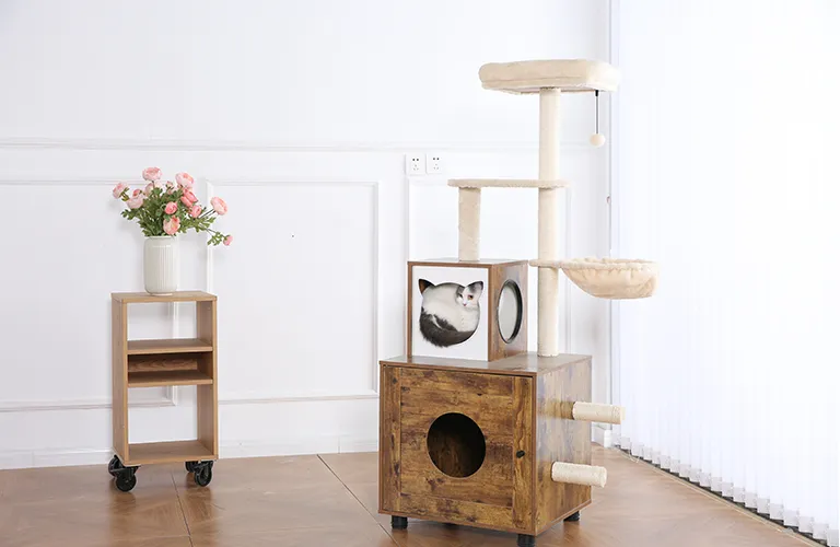 Combinazione di lettiera per gatti