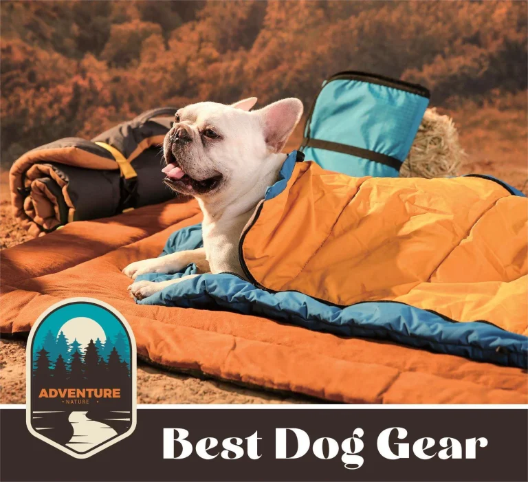 sac de couchage pour animaux de compagnie