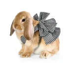 roupas para coelhos de estimação