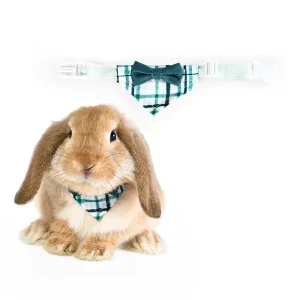 Konijn Halsband Konijntje Strik Bandana