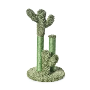 Кактусовые деревья для кошек