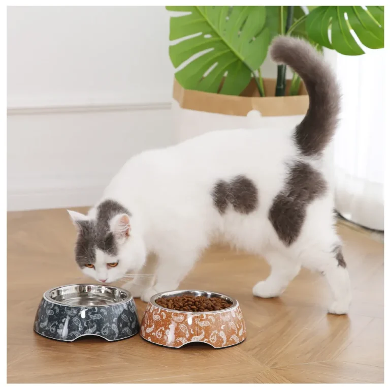 Bol pour chat-2