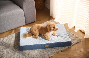 O que é cama antibacteriana para cães？