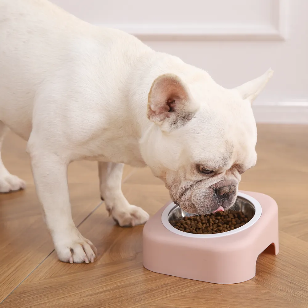 스테인레스 스틸 개 그릇