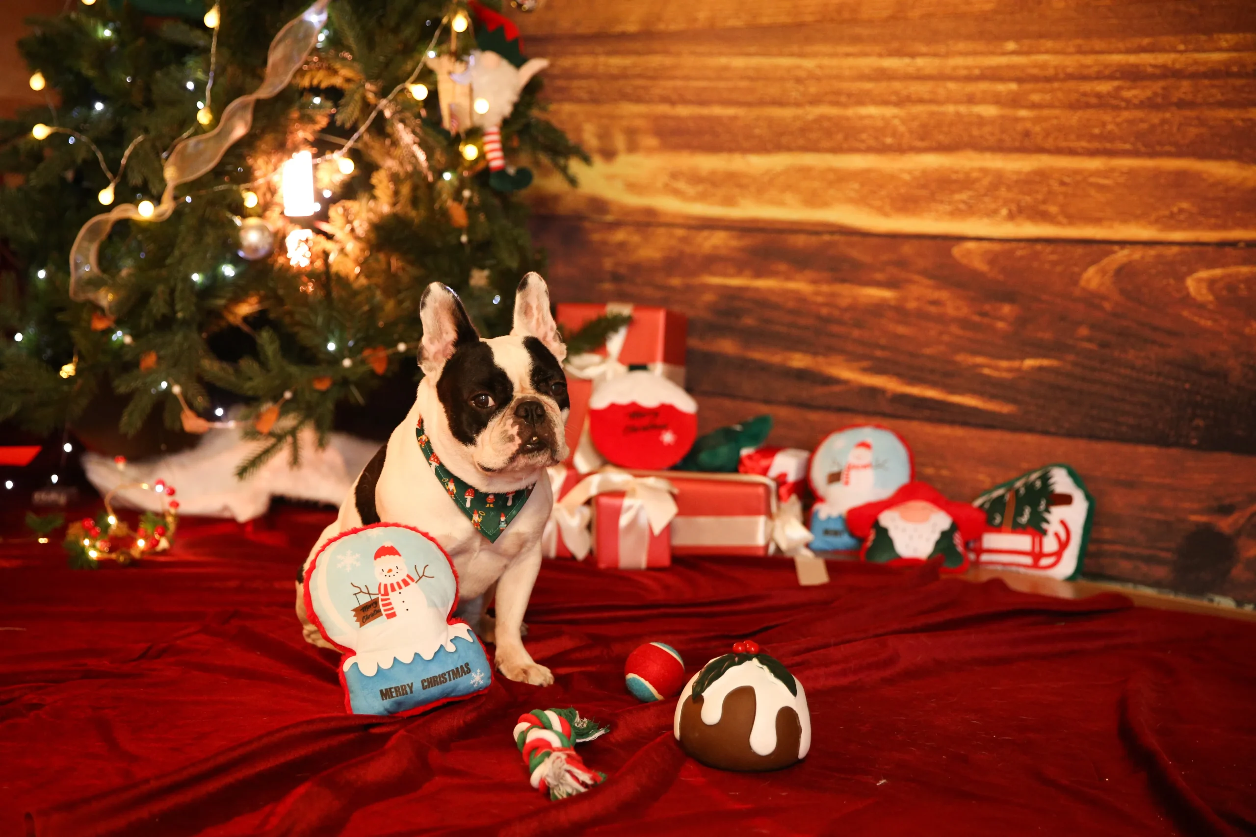Christmas Dog Products-3