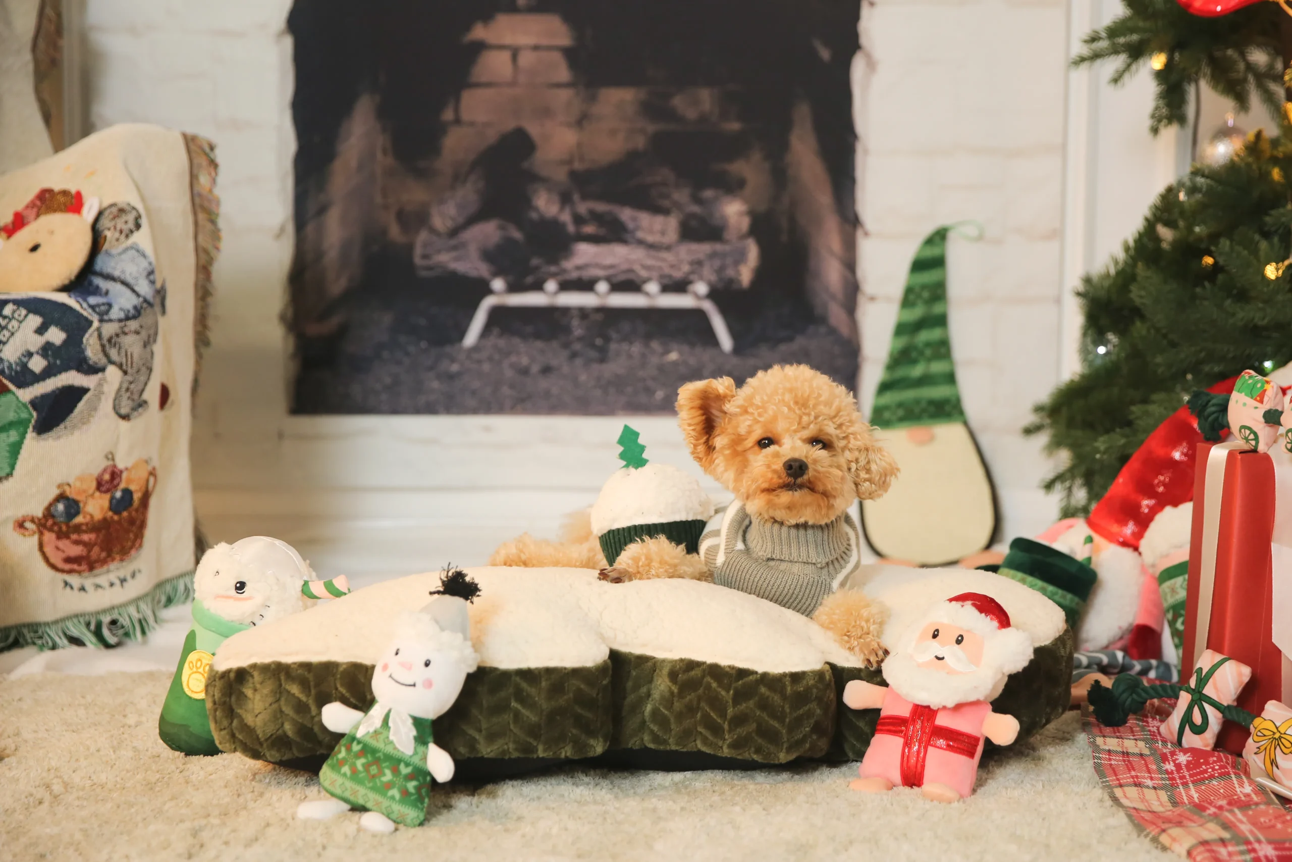 Christmas Dog Products-5