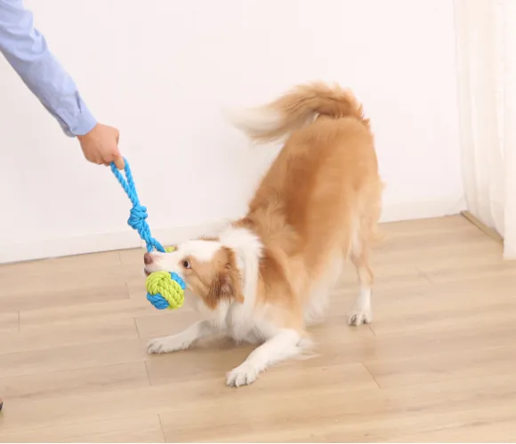 Giocattoli da masticare per cani