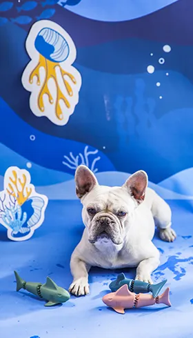 Hundespielzeug aus Gummi-2