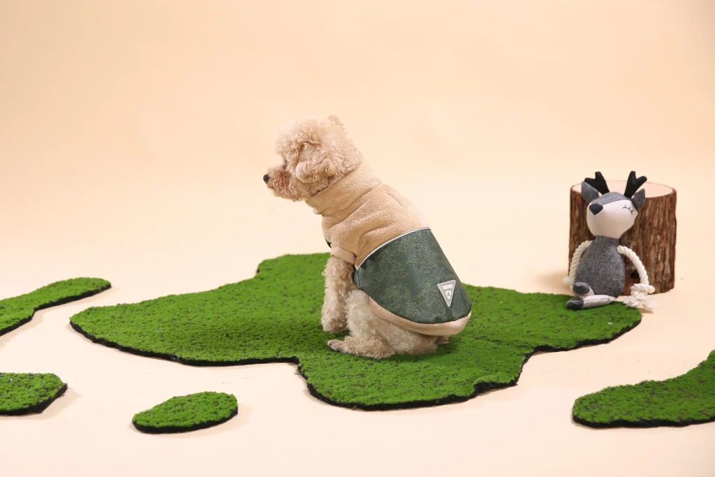Best Dog Clothes-4