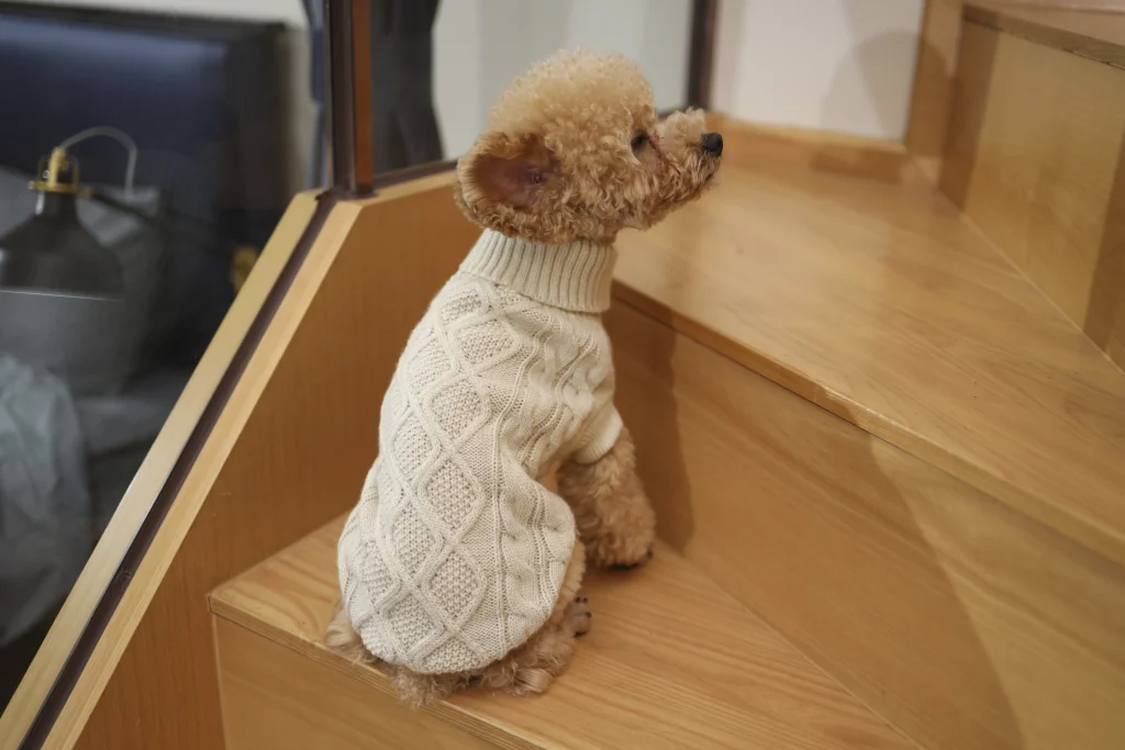 Best Dog Clothes-5