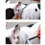 최고의 개 벼룩 목걸이