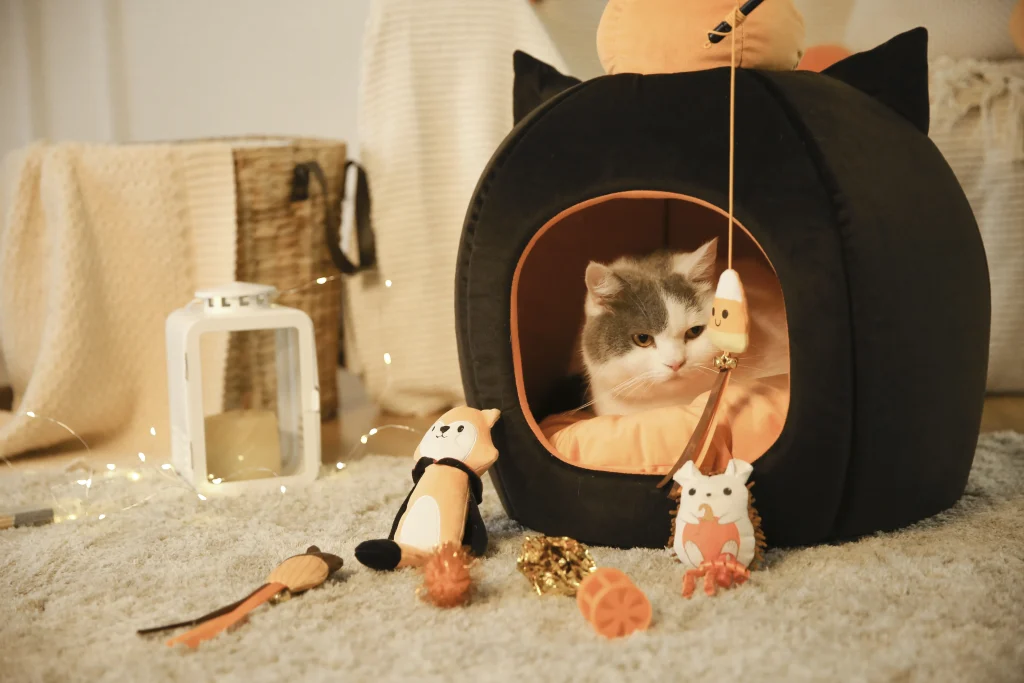 Melhores produtos de Halloween para cães
