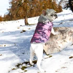 Individuelle Hundekapuzenpullover Haustier