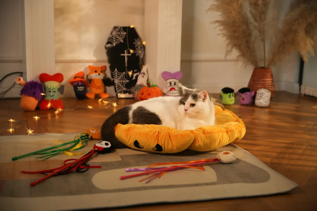Produtos personalizados de Halloween para animais de estimação