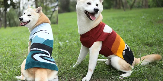 Dog Sweater-2