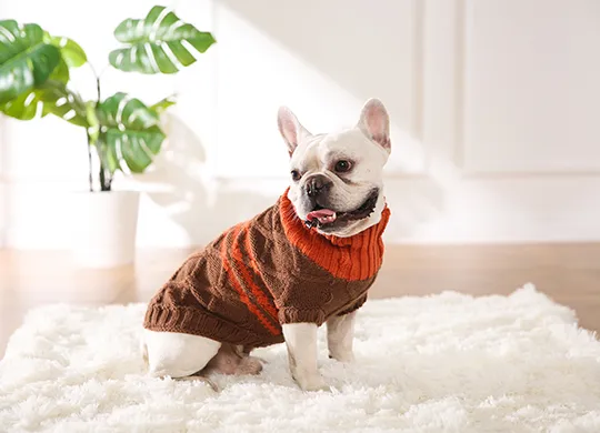 Dog Sweater-3