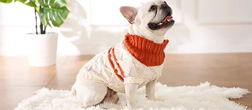 Dog Sweater-4