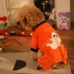 Halloween Hundekleidung Niedlich