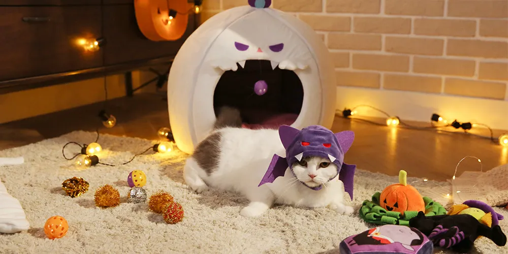 Forniture per animali domestici di Halloween