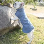 Chaquetas Ropa de abrigo para mascotas