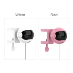 Fornecedor Brinquedo com bola para gatos