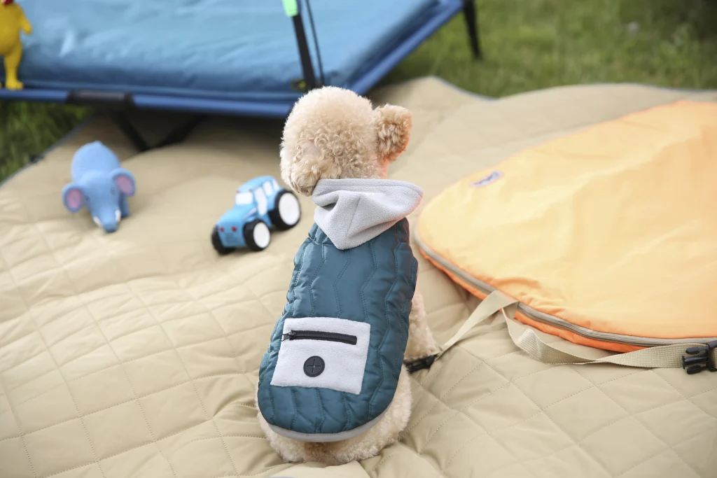 Tipos de prendas para perros-3