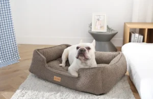 Warum ein chinesischer Hersteller von Haustierbetten wählen?