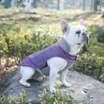 Зимние пальто для собак