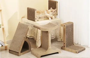 любят ли кошки картон