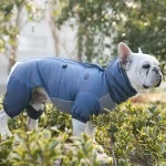 dog winter coat