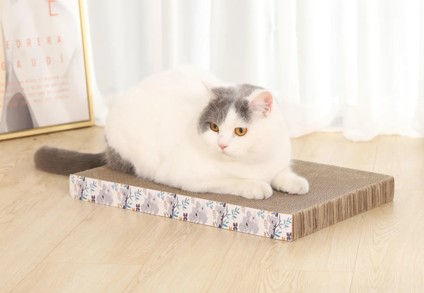 평평한 고양이 스크래치 보드