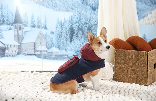 Felpe con cappuccio per cani-2