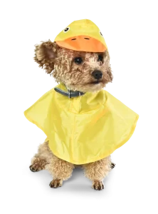Wholesale Dog Raincoats
