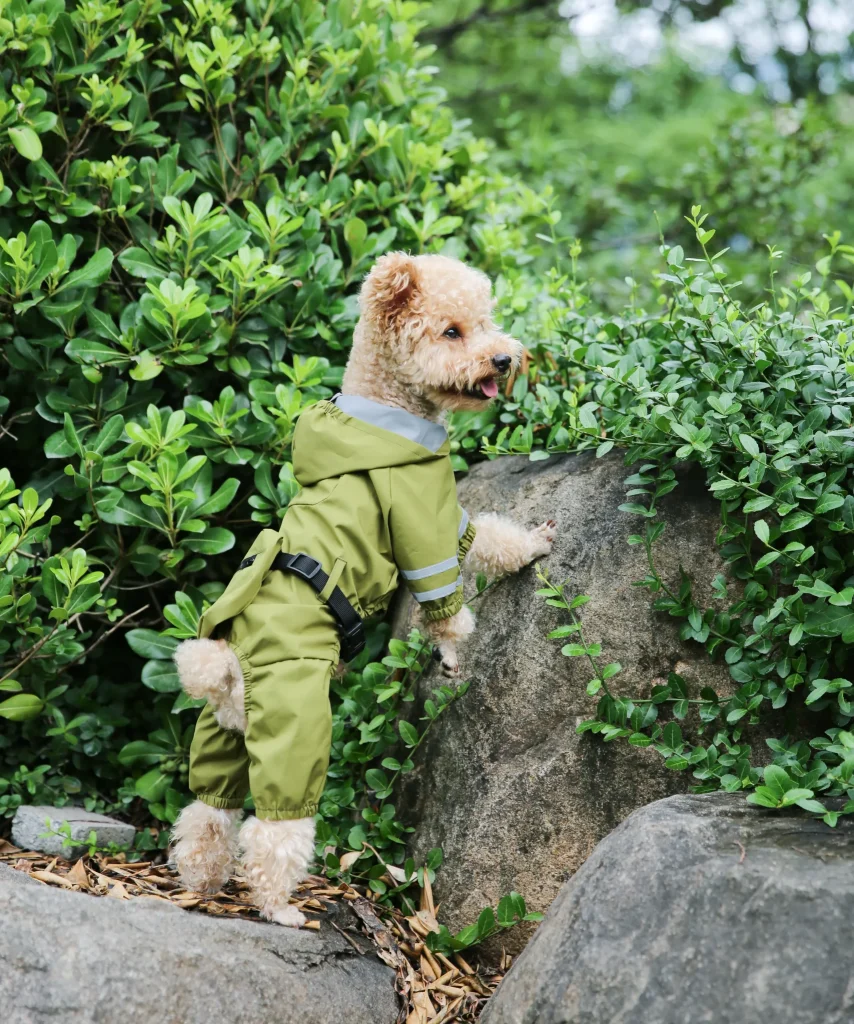 Wholesale Dog Raincoats