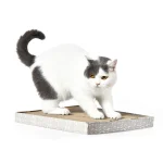 Scheda di gioco della Fabbrica del Gatto