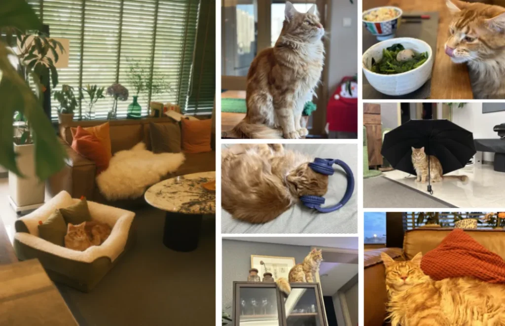 Semana de la Moda Canina de Shanghai-25