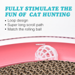 Lieferant Katzenkratzbrett